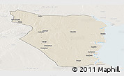 Shaded Relief Panoramic Map of Buzi, lighten