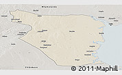 Shaded Relief Panoramic Map of Buzi, semi-desaturated