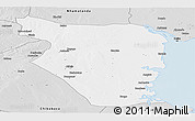 Silver Style Panoramic Map of Buzi