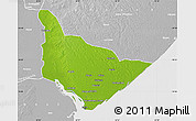 Physical Map of Dondo, lighten, desaturated