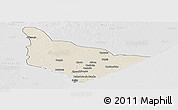 Shaded Relief Panoramic Map of Dondo, lighten, desaturated