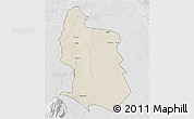 Shaded Relief 3D Map of Maringue, lighten, desaturated