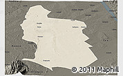 Shaded Relief Panoramic Map of Maringue, darken
