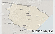 Shaded Relief 3D Map of Muanza, semi-desaturated