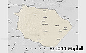 Shaded Relief Map of Muanza, desaturated