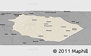 Shaded Relief Panoramic Map of Muanza, darken, desaturated