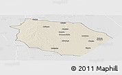 Shaded Relief Panoramic Map of Muanza, lighten, desaturated