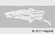 Gray Panoramic Map of Tete, single color outside
