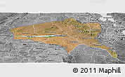 Satellite Panoramic Map of Tete, desaturated