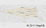 Shaded Relief Panoramic Map of Tete, lighten, desaturated