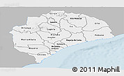 Gray Panoramic Map of Zambezia, single color outside