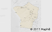 Shaded Relief 3D Map of Erongo, lighten, desaturated
