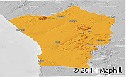 Political Panoramic Map of Erongo, lighten, desaturated