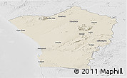 Shaded Relief Panoramic Map of Erongo, lighten, desaturated