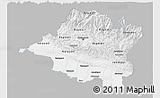 Gray 3D Map of Central, single color outside