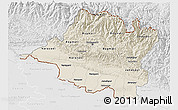 Shaded Relief 3D Map of Central, lighten, desaturated
