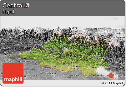 Satellite Panoramic Map of Central, desaturated