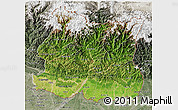 Satellite 3D Map of East, semi-desaturated