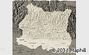 Shaded Relief 3D Map of East, darken