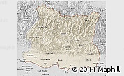 Shaded Relief 3D Map of East, desaturated