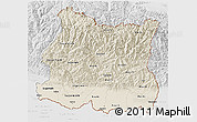 Shaded Relief 3D Map of East, lighten, desaturated