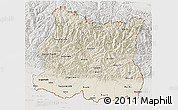 Shaded Relief 3D Map of East, lighten, semi-desaturated