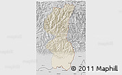 Shaded Relief 3D Map of Mechi, desaturated
