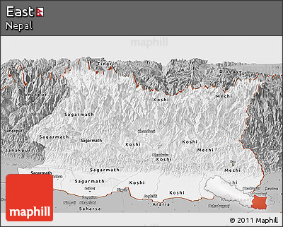 Gray Panoramic Map of East