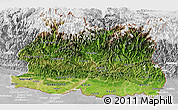 Satellite Panoramic Map of East, lighten, desaturated