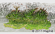Satellite Panoramic Map of East, lighten, semi-desaturated