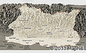 Shaded Relief Panoramic Map of East, darken