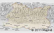 Shaded Relief Panoramic Map of East, desaturated