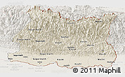 Shaded Relief Panoramic Map of East, lighten