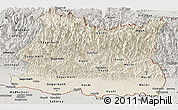 Shaded Relief Panoramic Map of East, semi-desaturated