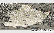 Shaded Relief Panoramic Map of West, darken