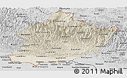 Shaded Relief Panoramic Map of West, desaturated