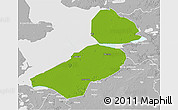 Physical 3D Map of Flevoland, lighten, desaturated