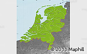 Physical Map of Netherlands, desaturated, land only