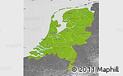 Physical Map of Netherlands, desaturated