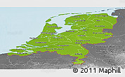 Physical Panoramic Map of Netherlands, desaturated, land only
