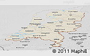 Shaded Relief Panoramic Map of Netherlands, desaturated