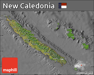 Satellite Map of New Caledonia, desaturated