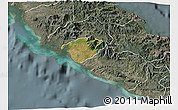 Satellite 3D Map of Poya (south part), semi-desaturated