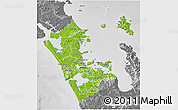 Physical 3D Map of Auckland, desaturated