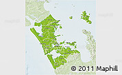 Physical 3D Map of Auckland, lighten