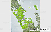 Physical 3D Map of Auckland, semi-desaturated