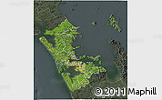 Satellite 3D Map of Auckland, darken, semi-desaturated
