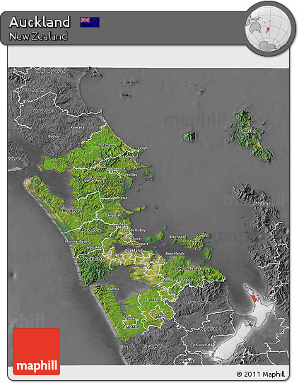 Satellite 3D Map of Auckland, desaturated