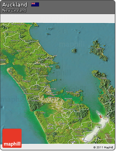 Satellite 3D Map of Auckland
