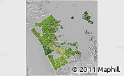 Satellite 3D Map of Auckland, lighten, desaturated